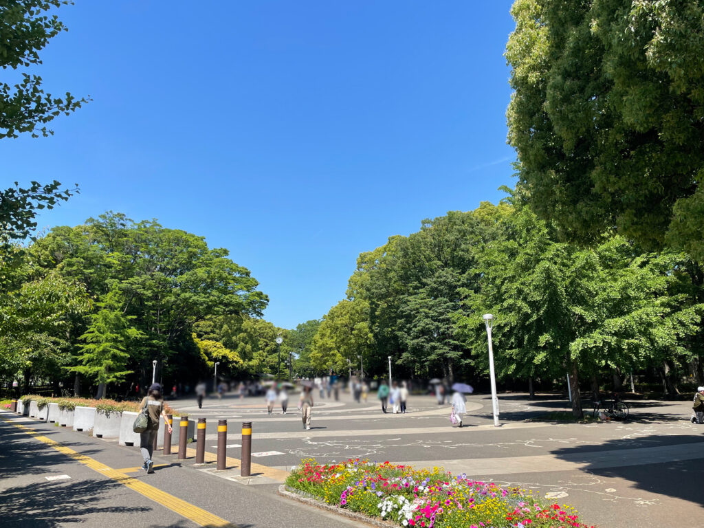 写真；代々木公園